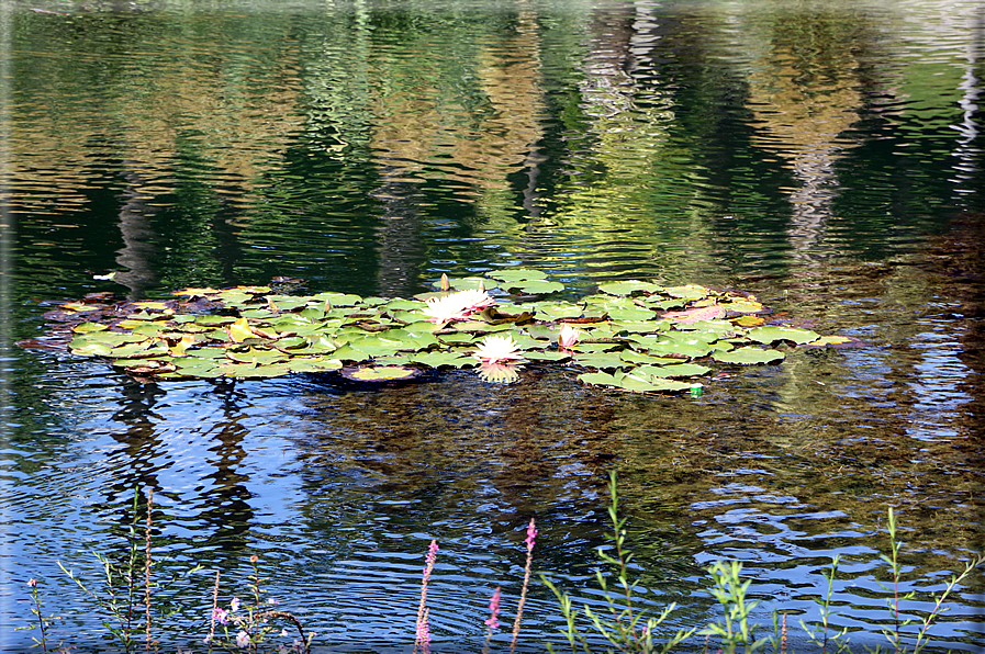 foto Giardini Trauttmansdorff - Giardini acquatici